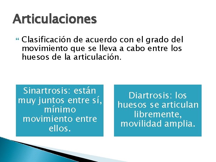 Articulaciones Clasificación de acuerdo con el grado del movimiento que se lleva a cabo