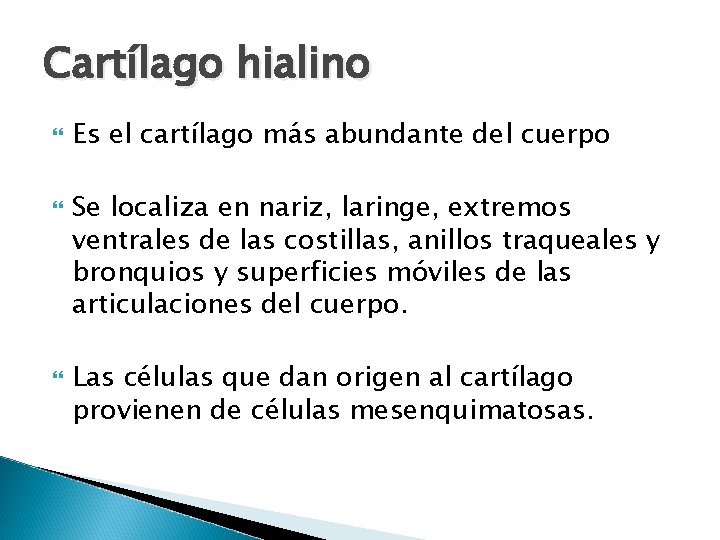 Cartílago hialino Es el cartílago más abundante del cuerpo Se localiza en nariz, laringe,