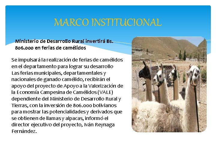 MARCO INSTITUCIONAL Ministerio de Desarrollo Rural invertirá Bs. 806. 000 en ferias de camélidos