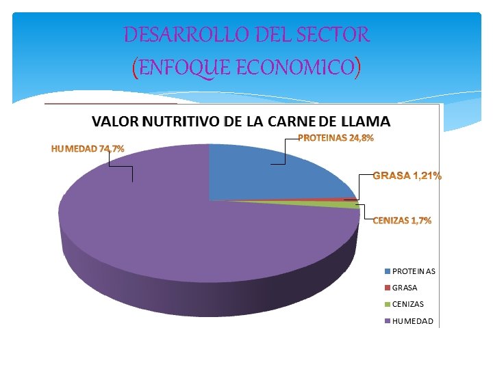 DESARROLLO DEL SECTOR (ENFOQUE ECONOMICO) 