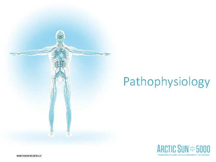 Pathophysiology BMD/AS 50/0516/0115 