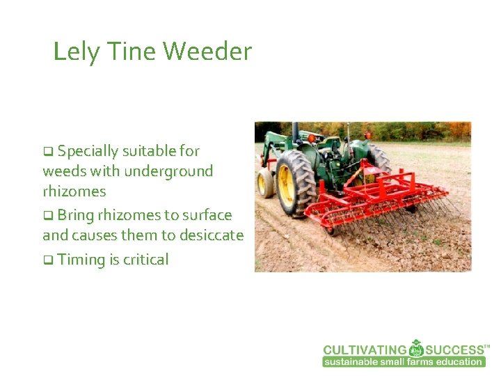 Lely Tine Weeder q Specially suitable for weeds with underground rhizomes q Bring rhizomes