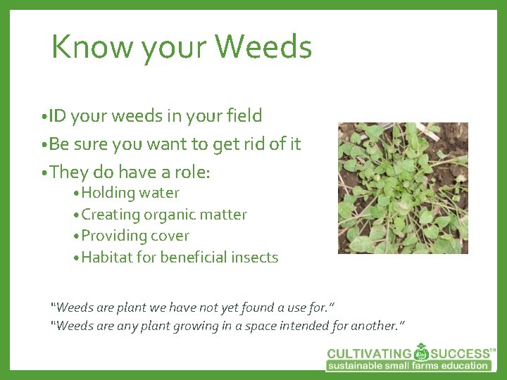 Know your Weeds • ID your weeds in your field • Be sure you