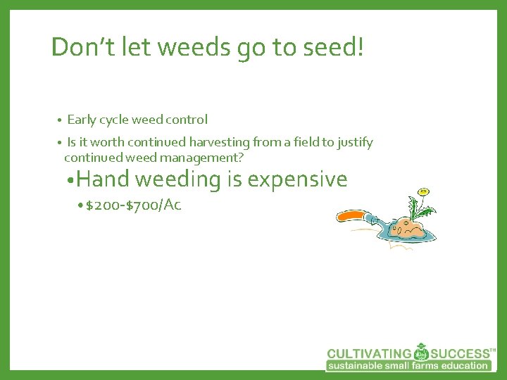 Don’t let weeds go to seed! • Early cycle weed control • Is it