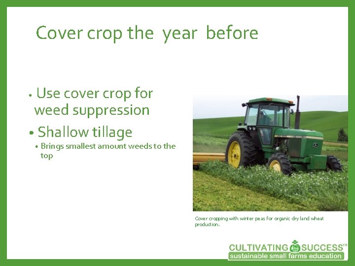 Cover crop the year before Use cover crop for weed suppression • Shallow tillage