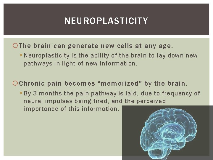 NEUROPLASTICITY The brain can generate new cells at any age. § Neuroplasticity is the