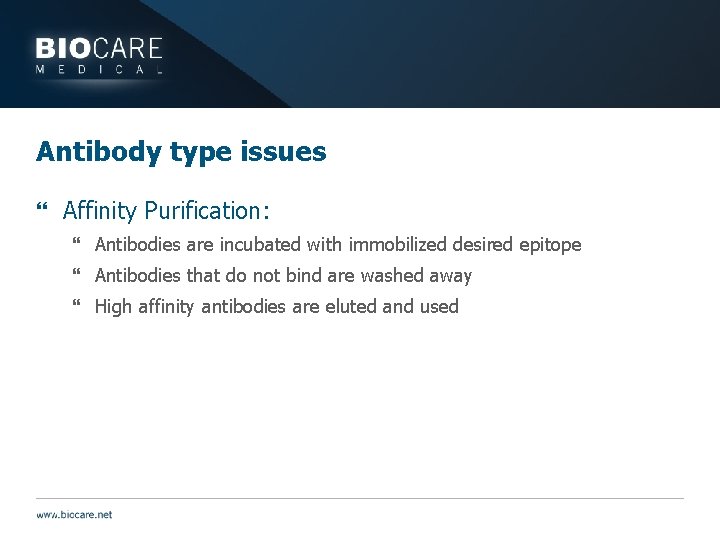 Antibody type issues } Affinity Purification: } Antibodies are incubated with immobilized desired epitope