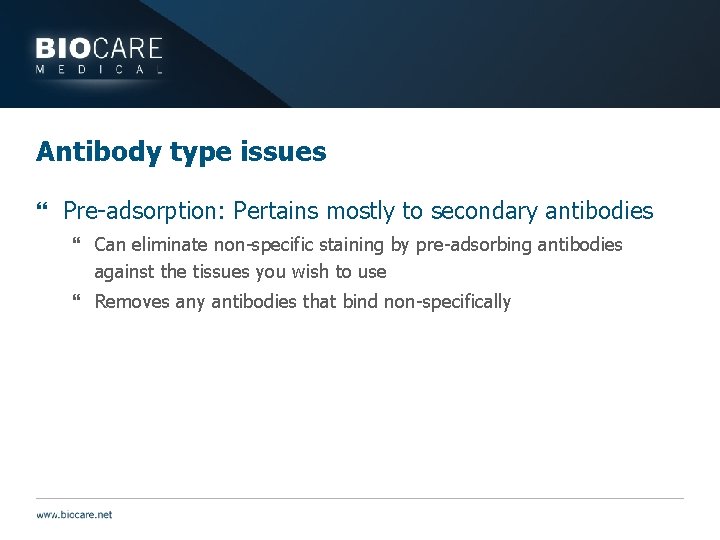 Antibody type issues } Pre-adsorption: Pertains mostly to secondary antibodies } Can eliminate non-specific