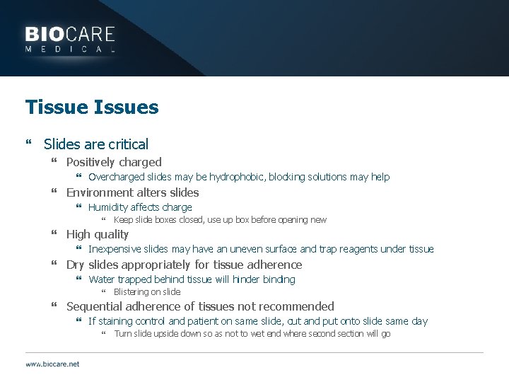 Tissue Issues } Slides are critical } Positively charged } Overcharged slides may be