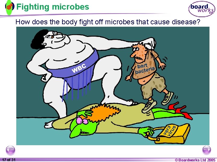 Fighting microbes How does the body fight off microbes that cause disease? 1 17