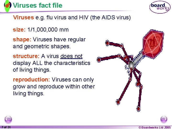 Viruses fact file Viruses e. g. flu virus and HIV (the AIDS virus) size: