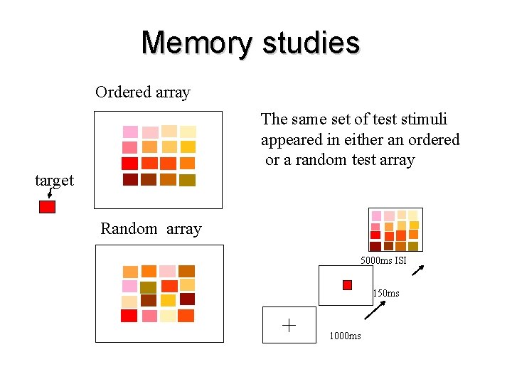 Memory studies Ordered array The same set of test stimuli appeared in either an