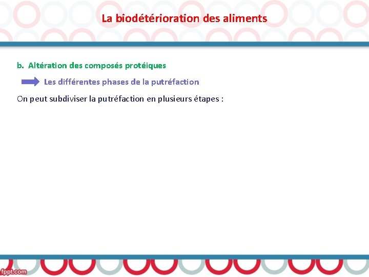 La biodétérioration des aliments b. Altération des composés protéiques Les différentes phases de la