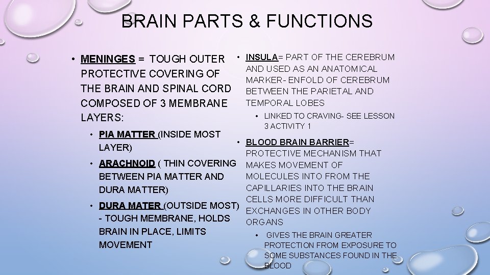 BRAIN PARTS & FUNCTIONS • MENINGES = TOUGH OUTER • PROTECTIVE COVERING OF THE