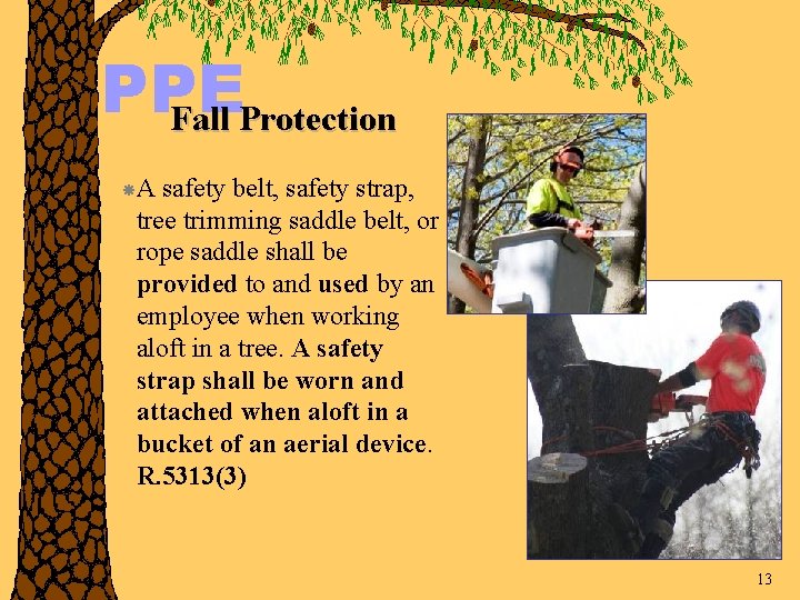 PPE Fall Protection A safety belt, safety strap, tree trimming saddle belt, or rope
