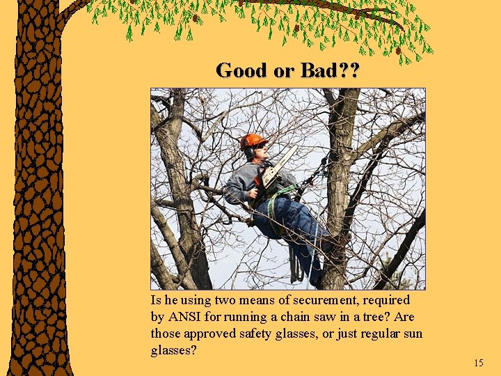 Good or Bad? ? Is he using two means of securement, required by ANSI