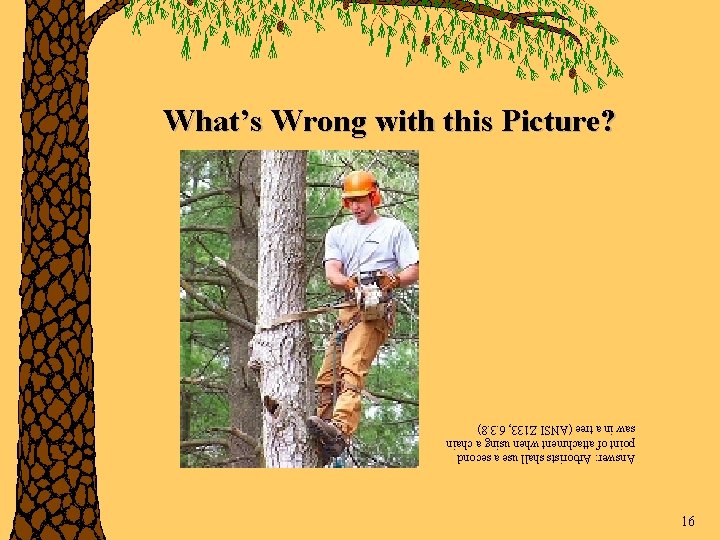 16 Answer: Arborists shall use a second point of attachment when using a chain