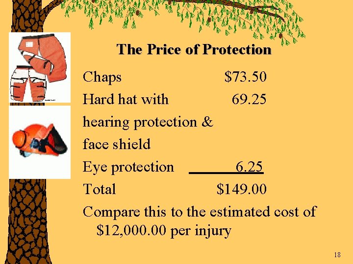 The Price of Protection Chaps $73. 50 Hard hat with 69. 25 hearing protection