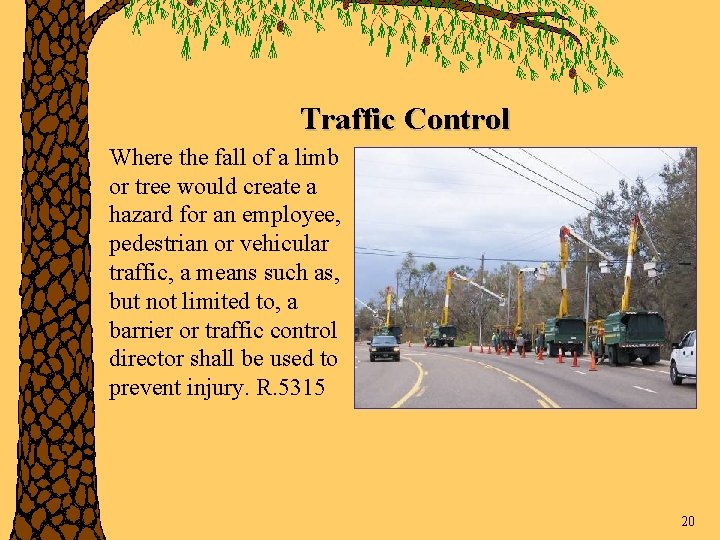 Traffic Control Where the fall of a limb or tree would create a hazard