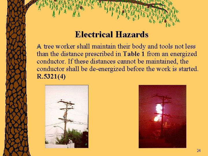 Electrical Hazards A tree worker shall maintain their body and tools not less than