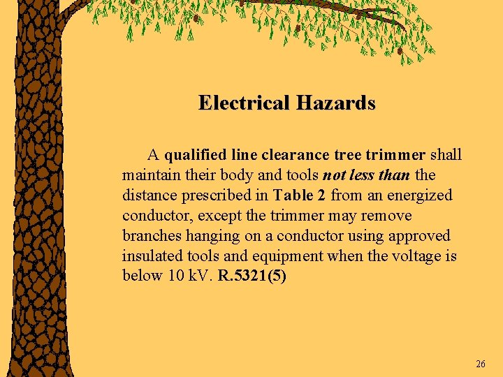 Electrical Hazards A qualified line clearance tree trimmer shall maintain their body and tools