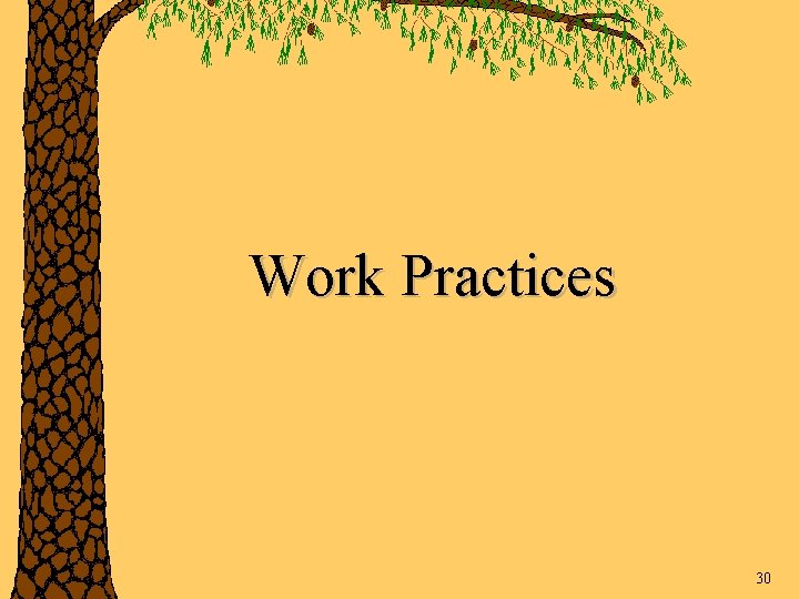 Work Practices 30 