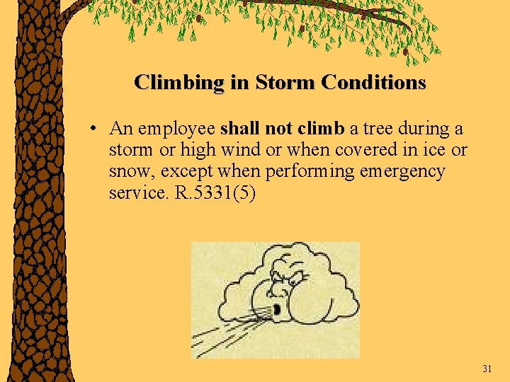 Climbing in Storm Conditions • An employee shall not climb a tree during a