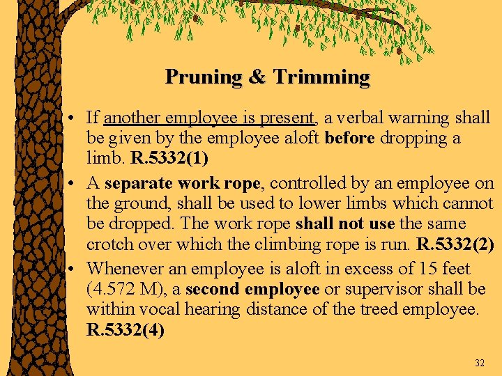 Pruning & Trimming • If another employee is present, a verbal warning shall be