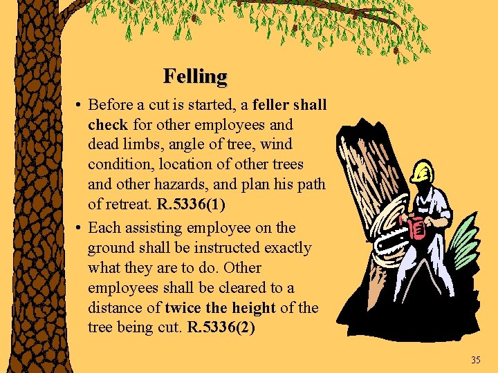 Felling • Before a cut is started, a feller shall check for other employees