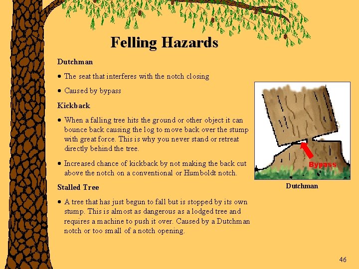 Felling Hazards Dutchman · The seat that interferes with the notch closing · Caused
