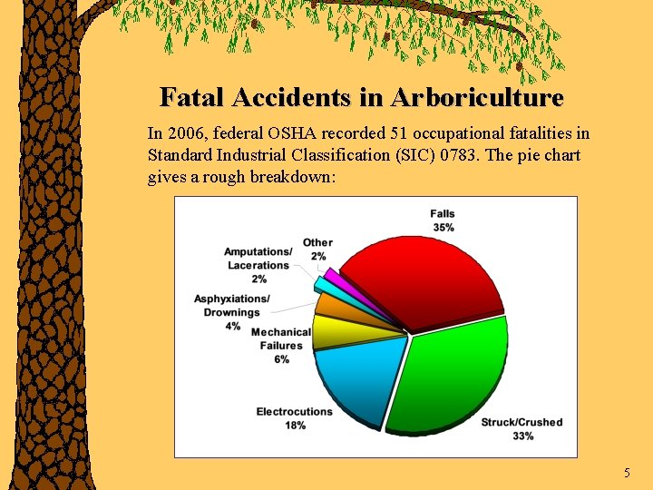Fatal Accidents in Arboriculture In 2006, federal OSHA recorded 51 occupational fatalities in Standard