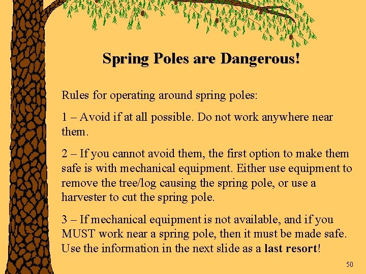 Spring Poles are Dangerous! Rules for operating around spring poles: 1 – Avoid if