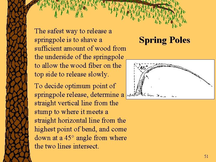 The safest way to release a springpole is to shave a sufficient amount of