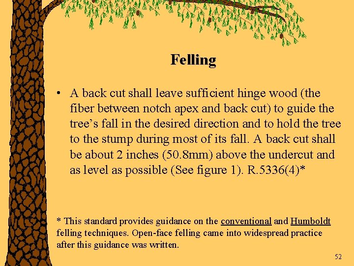 Felling • A back cut shall leave sufficient hinge wood (the fiber between notch
