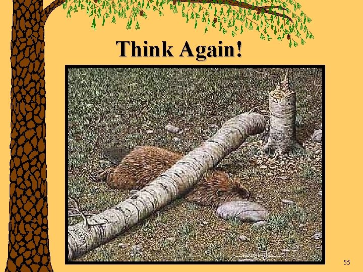 Think Again! 55 