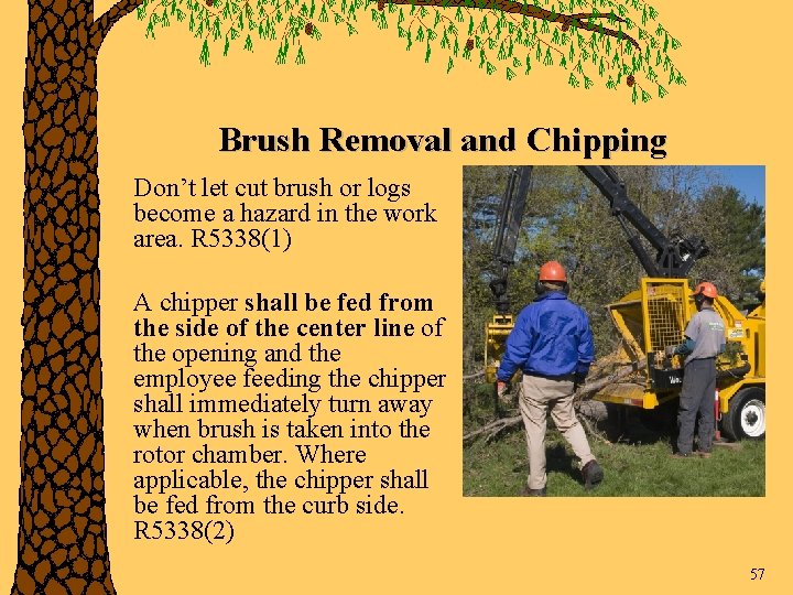 Brush Removal and Chipping Don’t let cut brush or logs become a hazard in
