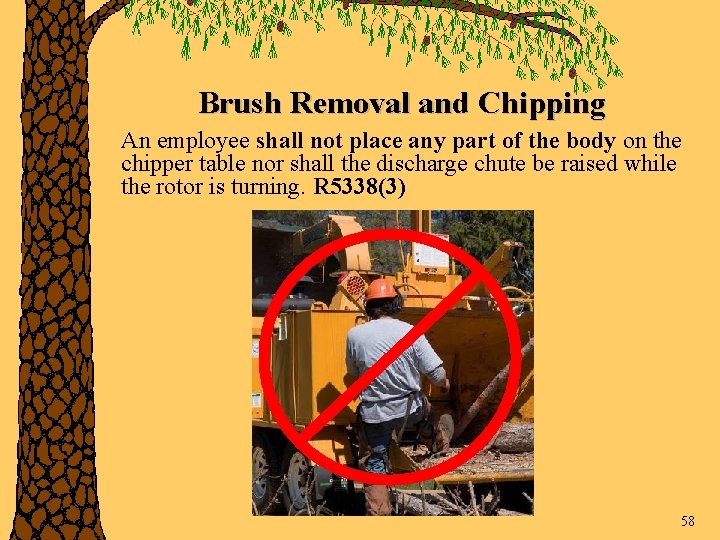 Brush Removal and Chipping An employee shall not place any part of the body