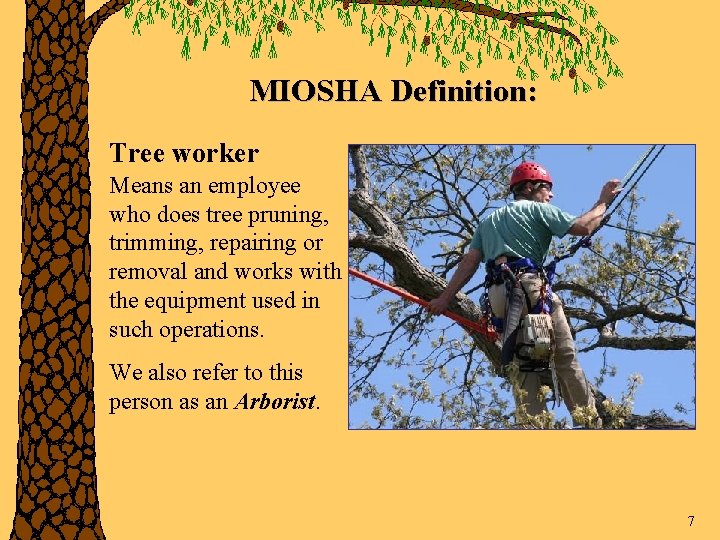 MIOSHA Definition: Tree worker Means an employee who does tree pruning, trimming, repairing or