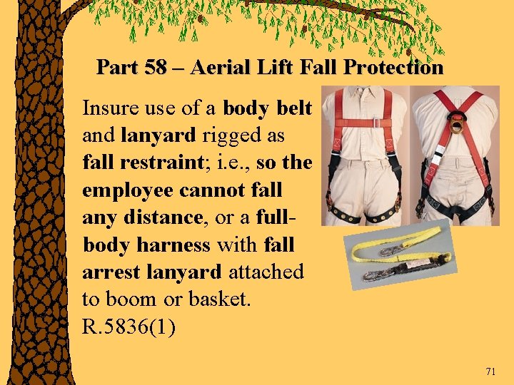 Part 58 – Aerial Lift Fall Protection Insure use of a body belt and
