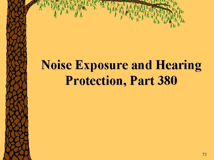 Noise Exposure and Hearing Protection, Part 380 73 