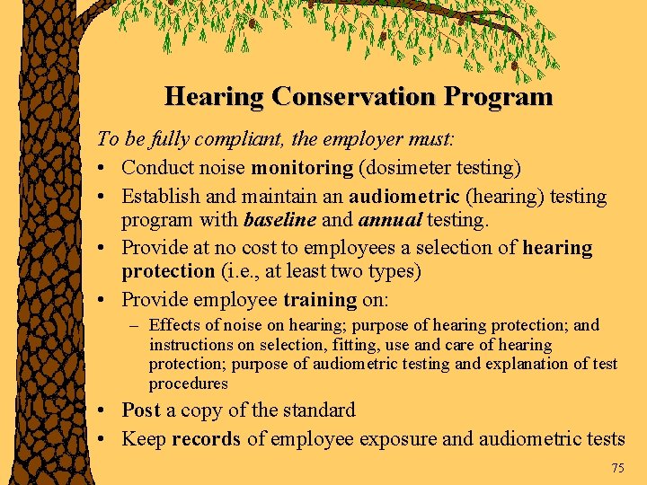 Hearing Conservation Program To be fully compliant, the employer must: • Conduct noise monitoring