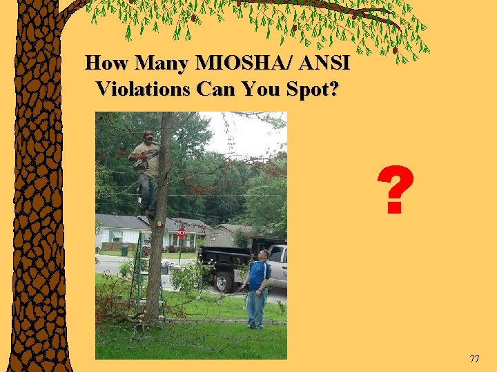 How Many MIOSHA/ ANSI Violations Can You Spot? ? 77 