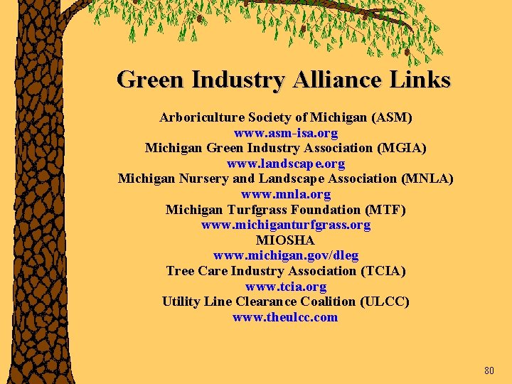Green Industry Alliance Links Arboriculture Society of Michigan (ASM) www. asm-isa. org Michigan Green