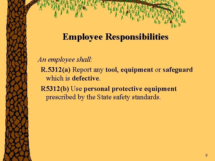 Employee Responsibilities An employee shall: R. 5312(a) Report any tool, equipment or safeguard which