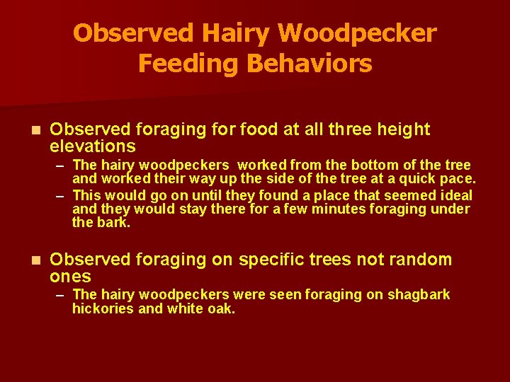 Observed Hairy Woodpecker Feeding Behaviors n Observed foraging for food at all three height