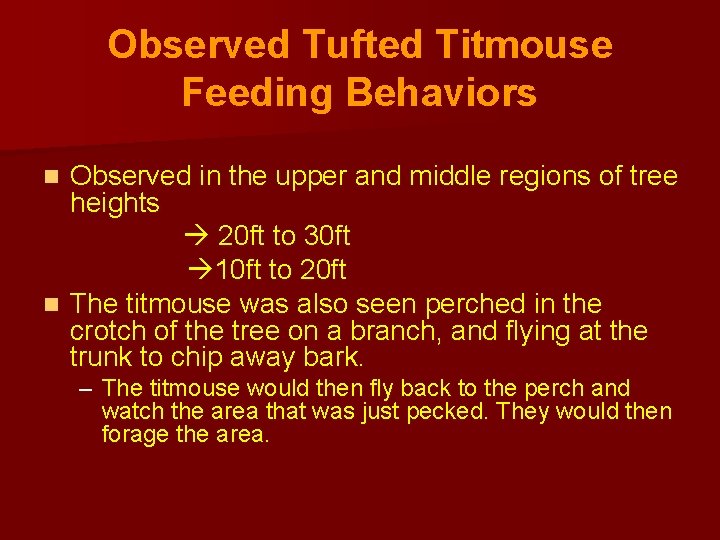 Observed Tufted Titmouse Feeding Behaviors Observed in the upper and middle regions of tree