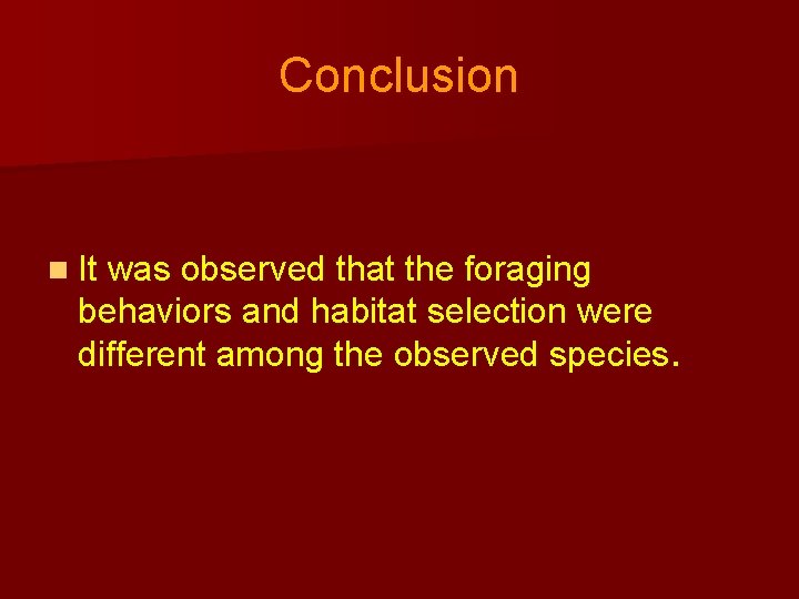 Conclusion n It was observed that the foraging behaviors and habitat selection were different