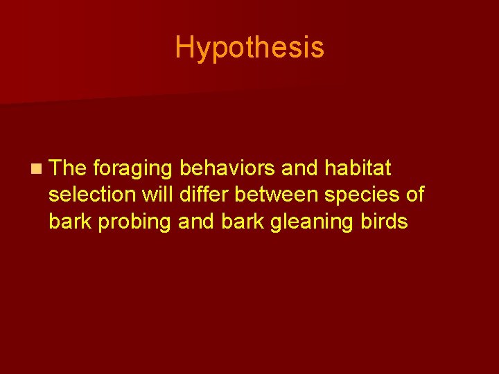 Hypothesis n The foraging behaviors and habitat selection will differ between species of bark