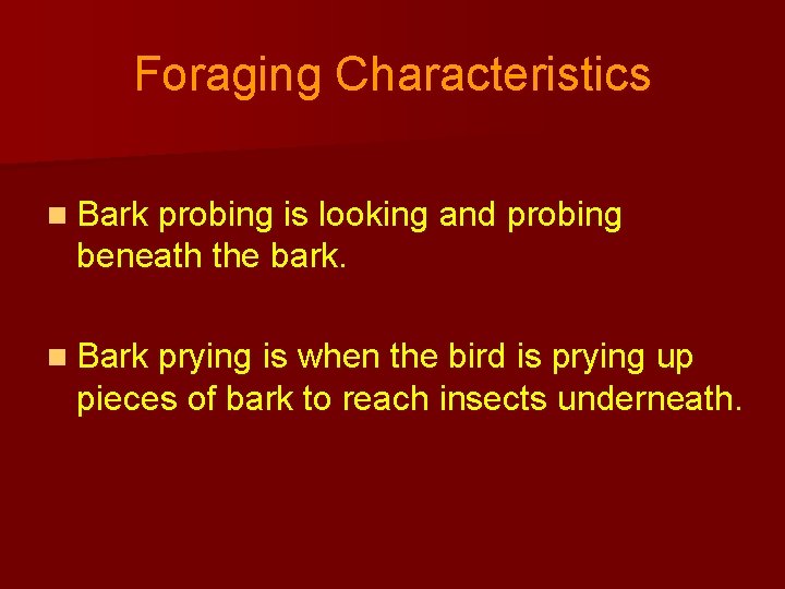 Foraging Characteristics n Bark probing is looking and probing beneath the bark. n Bark
