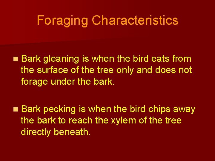 Foraging Characteristics n Bark gleaning is when the bird eats from the surface of